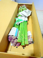 이미지를 갤러리 뷰어에 로드 , Allium Giganteum 80cm 230yen/pcs 120pcs
