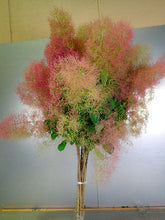 이미지를 갤러리 뷰어에 로드 , Cotinus Coggygria Pink 115cm 1125yen/pcs 10pcs
