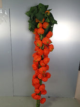 이미지를 갤러리 뷰어에 로드 , Physalis Alkekengi L. 80cm 7-8F   300yen/pcs(FOB)  50pcs
