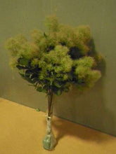 이미지를 갤러리 뷰어에 로드 , Cotinus Coggygria White 100cm 1000yen/pcs 20pcs

