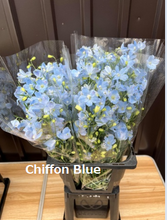 이미지를 갤러리 뷰어에 로드 , Delphinium grandiflorum Spray 70cm 315yen/pcs 90pcs
