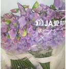 将图片加载到图库查看器，Lathyrus odoratus Super  70cm 600pcs  95yen/pcs (FOB)
