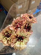 Load image into Gallery viewer, Ranunculus   Charlotte  (Super)  60cm 120pcs  250yen/pcs
