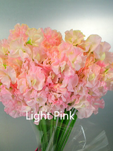 이미지를 갤러리 뷰어에 로드 , Lathyrus odoratus 50cm 800pcs 65yen/pcs
