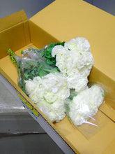 Load image into Gallery viewer, Eustoma 60cm 500yen/pcs 40pcs  FS
