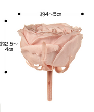 이미지를 갤러리 뷰어에 로드 , Preserved Rosa  &#39;Temari&#39;  1 box= 8pcs  2535yen/box
